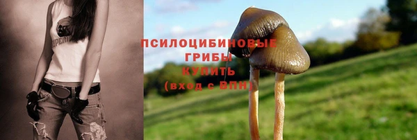 прущая мука Верхний Тагил