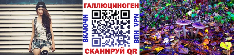 Купить  Апрелевка  Псилоцибиновые грибы прущие грибы 